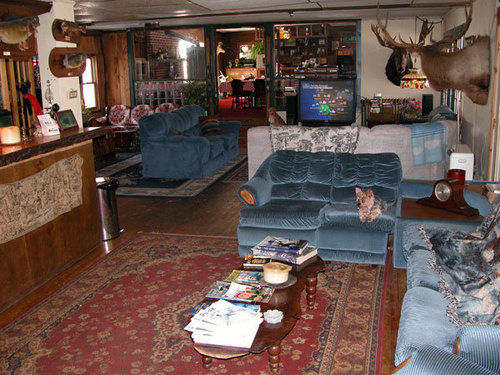 Colonial Inn Pine Hill Bagian luar foto